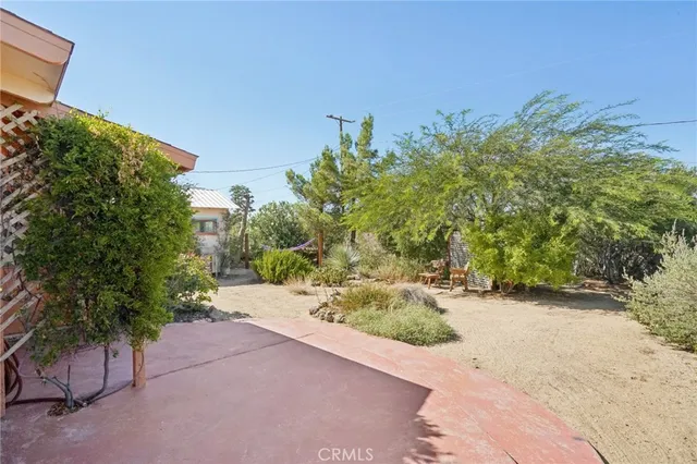 a view of a yard with potted plants