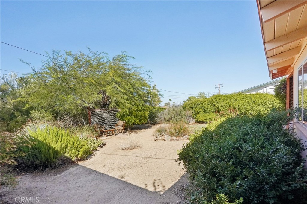 61494 Sunburst Drive Joshua Tree, CA 92252 - Photo 29 of 31 a view of a yard with plants and large trees