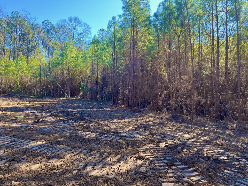 3046 Reeves Rd Se Ruth, MS 39662 - Photo 3 of 7 Photo 3