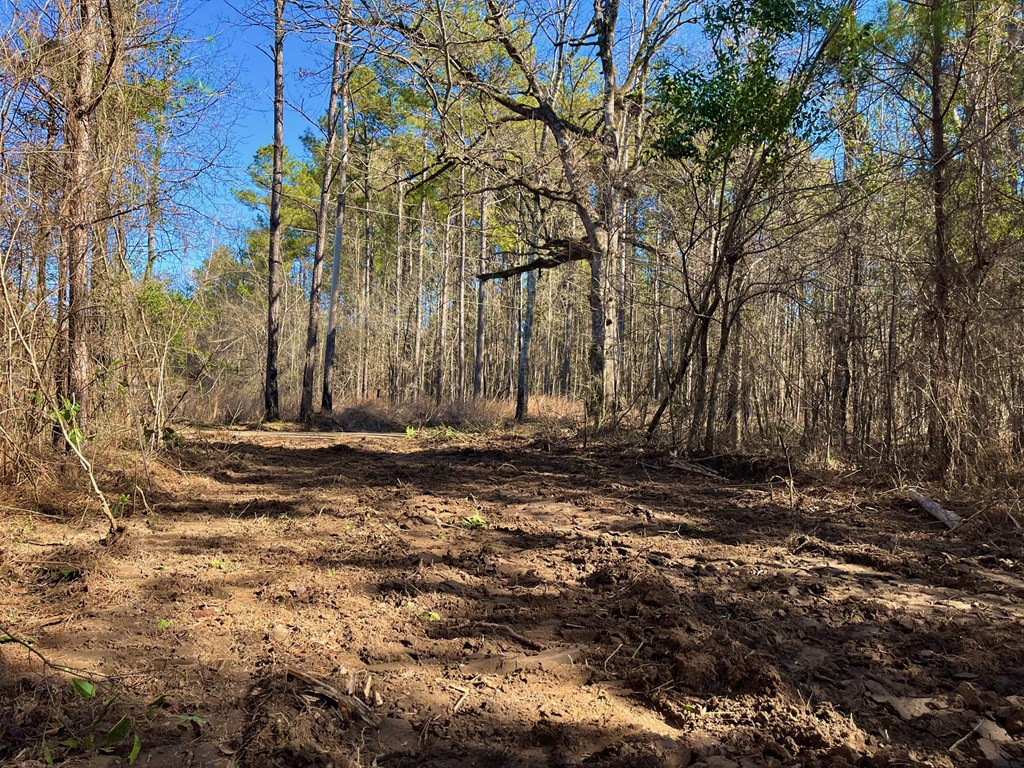 3046 Reeves Rd Se Ruth, MS 39662 - Photo 6 of 7 Photo 6