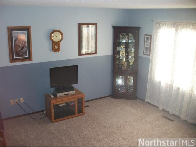 7608 Dunmore Road Woodbury, MN 55125 - Photo 9 of 18 Gallery Image 9