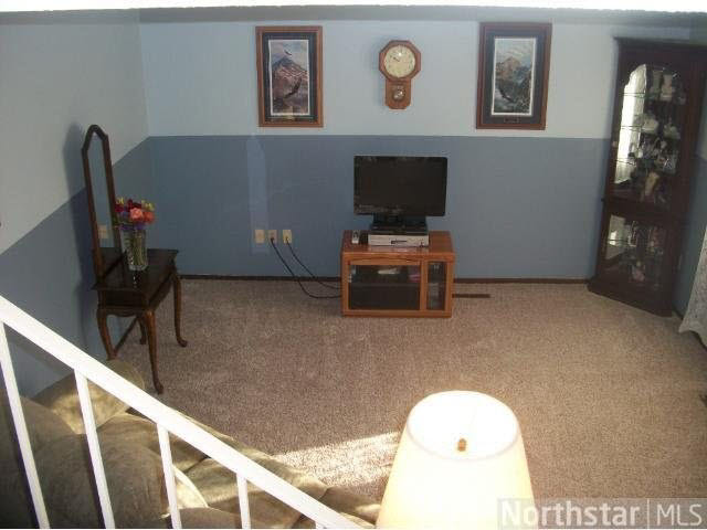 7608 Dunmore Road Woodbury, MN 55125 - Photo 10 of 18 Gallery Image 10