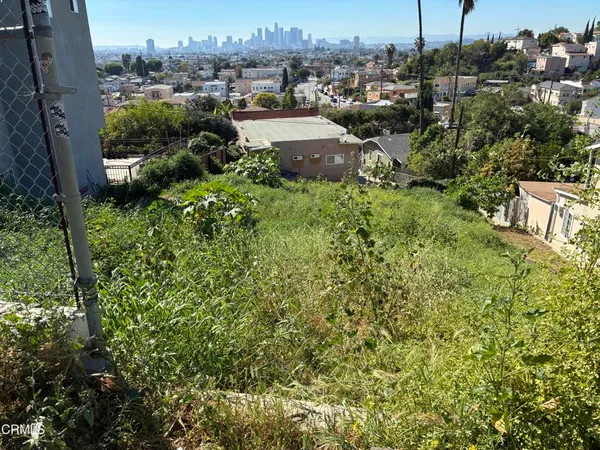a view of a garden