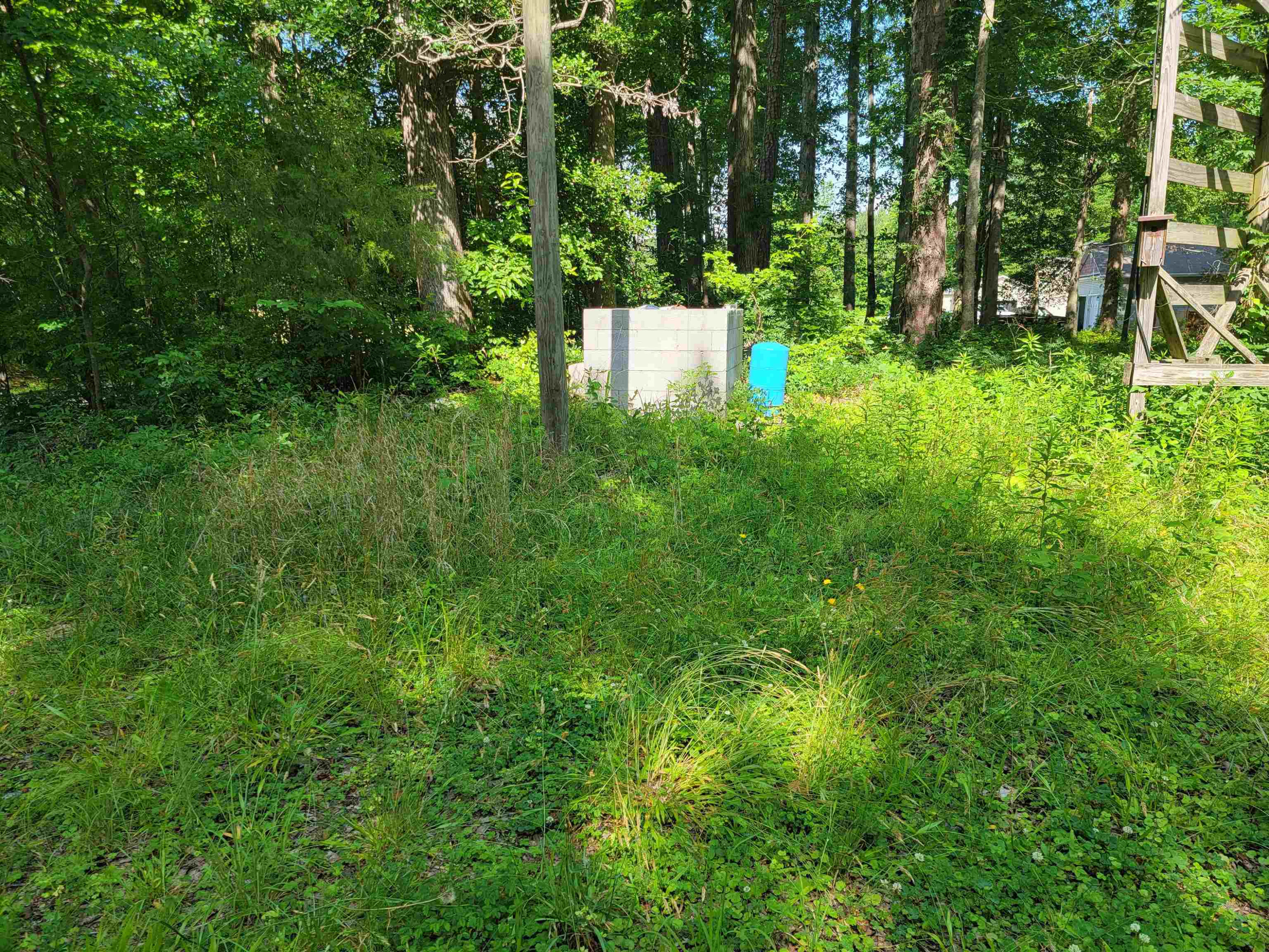 6400 Robertson Pond Road Wendell, NC 27591 - Photo 11 of 33 Photo 11