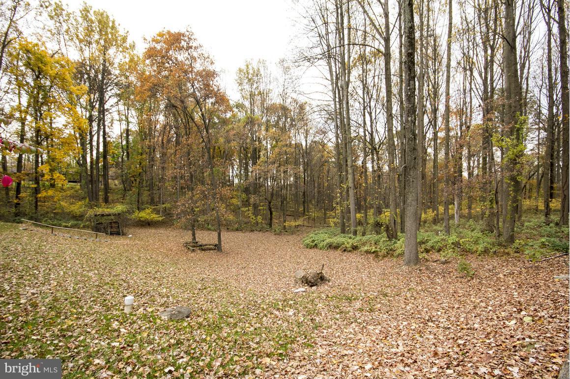 4202 Holbrook Road Randallstown, MD 21133 - Photo 2 of 30 Fall Foliage!
