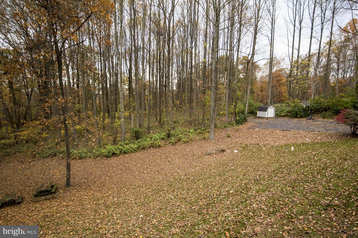 4202 Holbrook Road Randallstown, MD 21133 - Photo 3 of 30 View from Garage toward shed