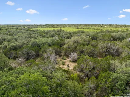 a view of an ocean from a yard