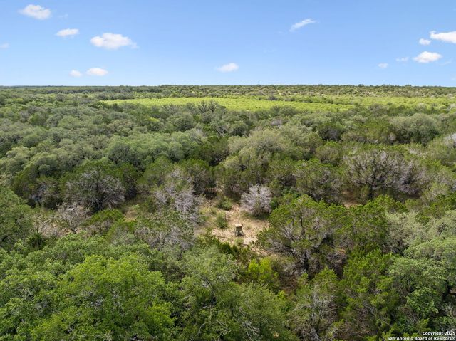 a view of an ocean from a yard