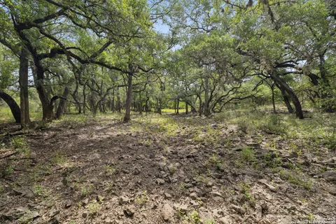 a big yard with lots of green space and deers