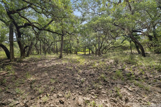 a big yard with lots of green space and deers
