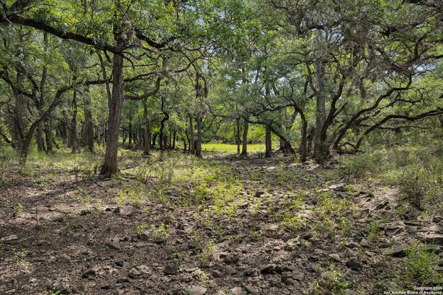 a view of outdoor space with deck and tree