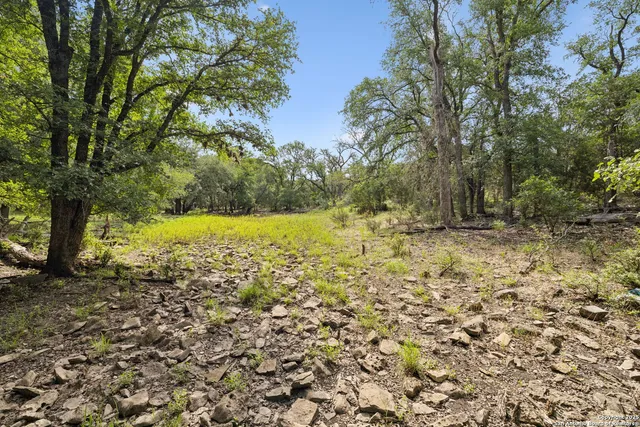 a view of a field with an trees