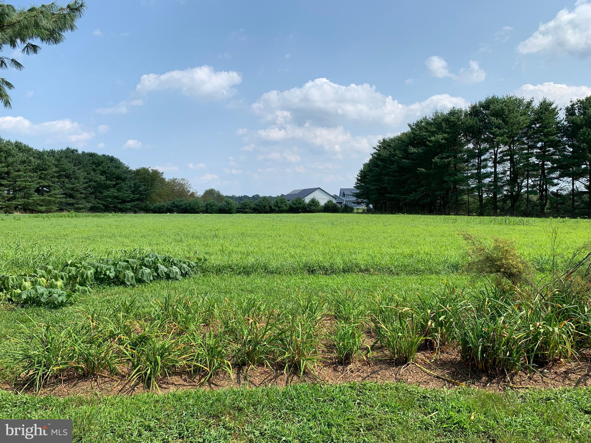 2 Bridge Road Lumberton, NJ 08048 - Photo 13 of 107 Vista showing hay field