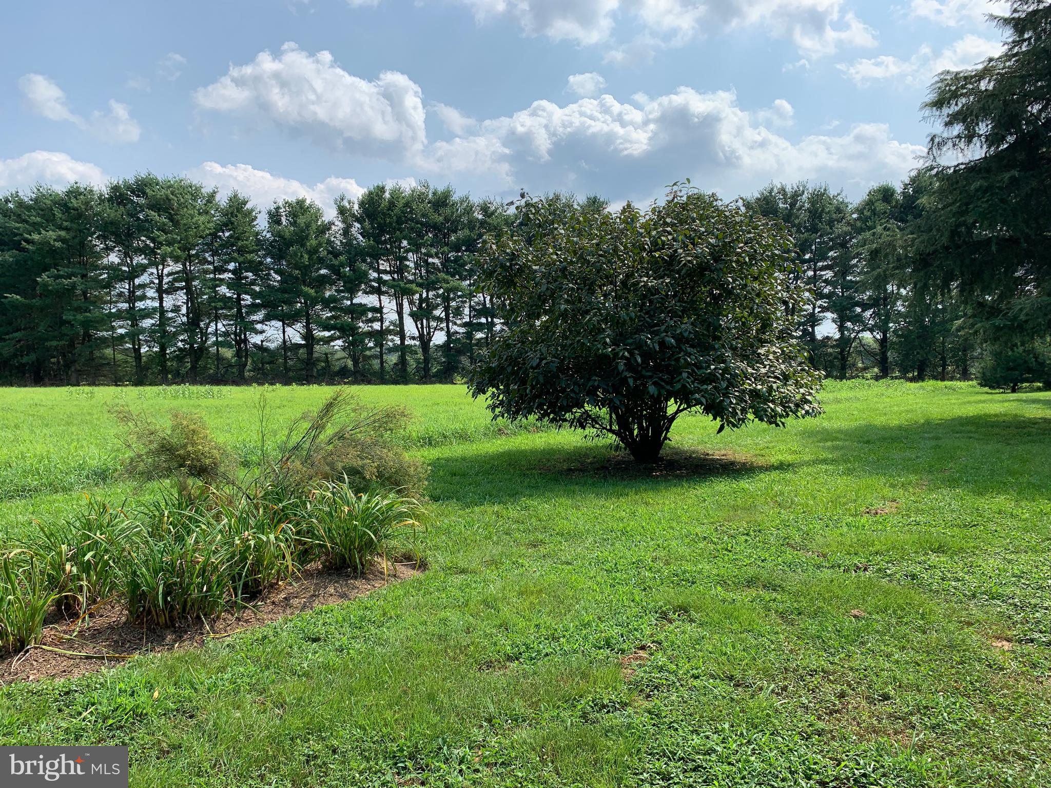 2 Bridge Road Lumberton, NJ 08048 - Photo 14 of 107 Garden & Grounds