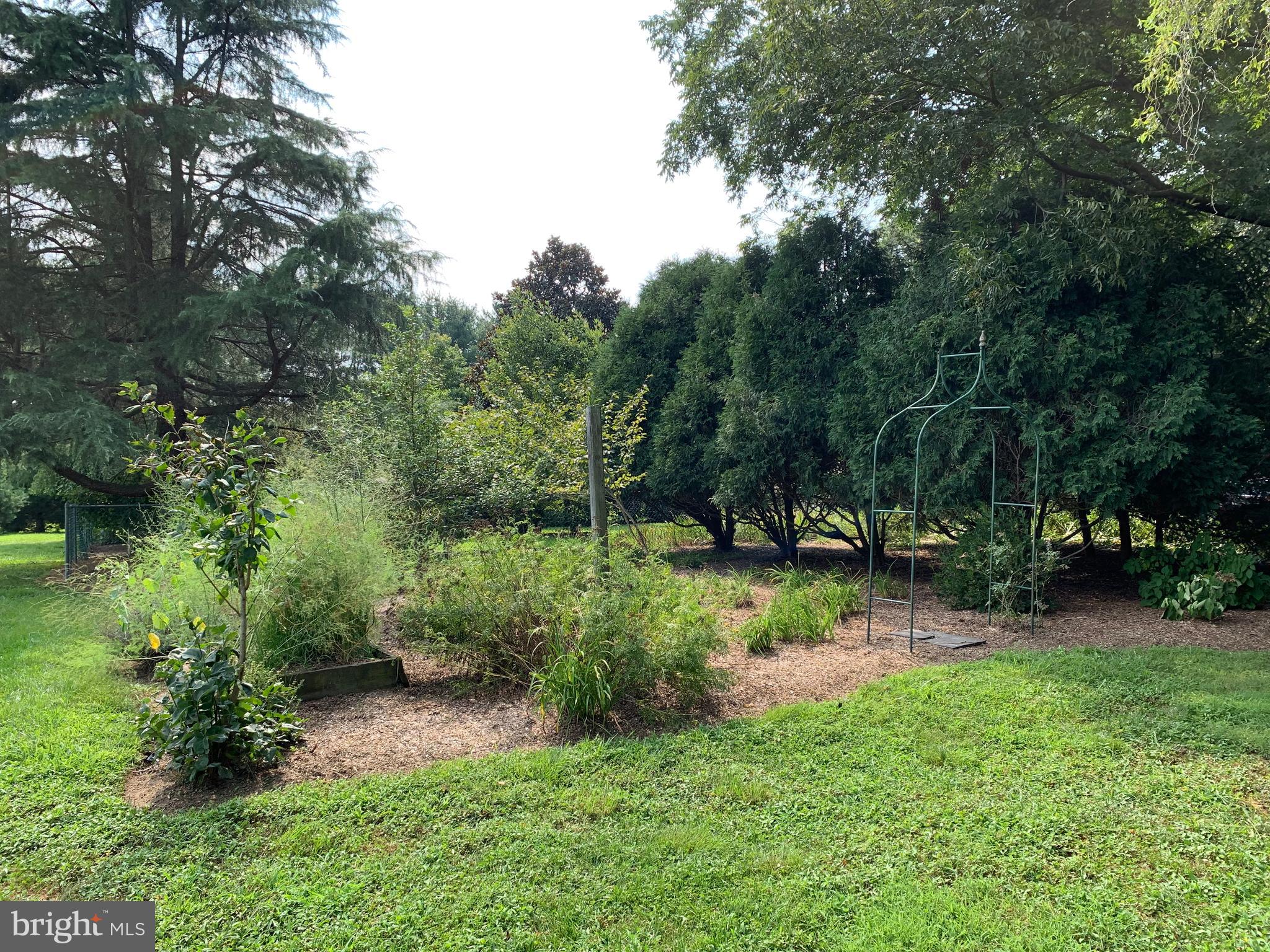 2 Bridge Road Lumberton, NJ 08048 - Photo 15 of 107 Garden & Grounds