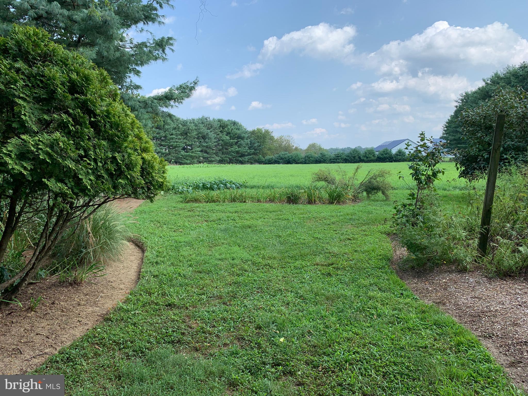 2 Bridge Road Lumberton, NJ 08048 - Photo 16 of 107 Vista showing hay field