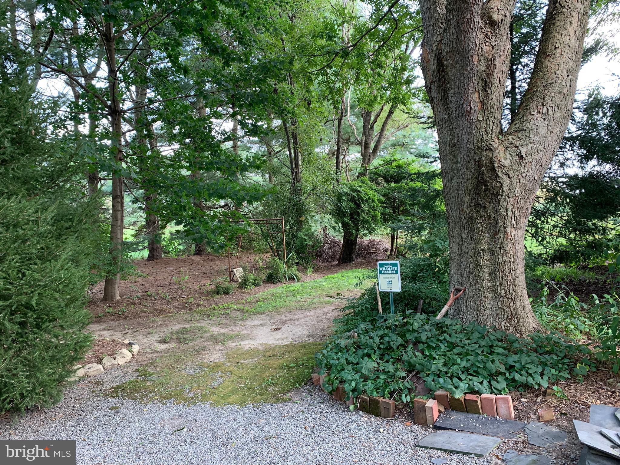 2 Bridge Road Lumberton, NJ 08048 - Photo 17 of 107 Garden Path