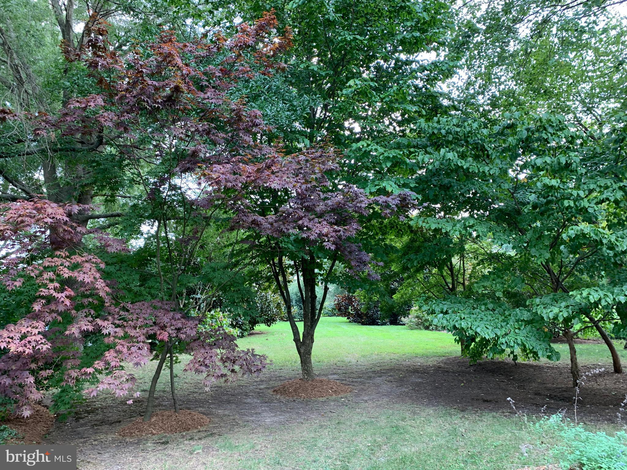 2 Bridge Road Lumberton, NJ 08048 - Photo 27 of 107