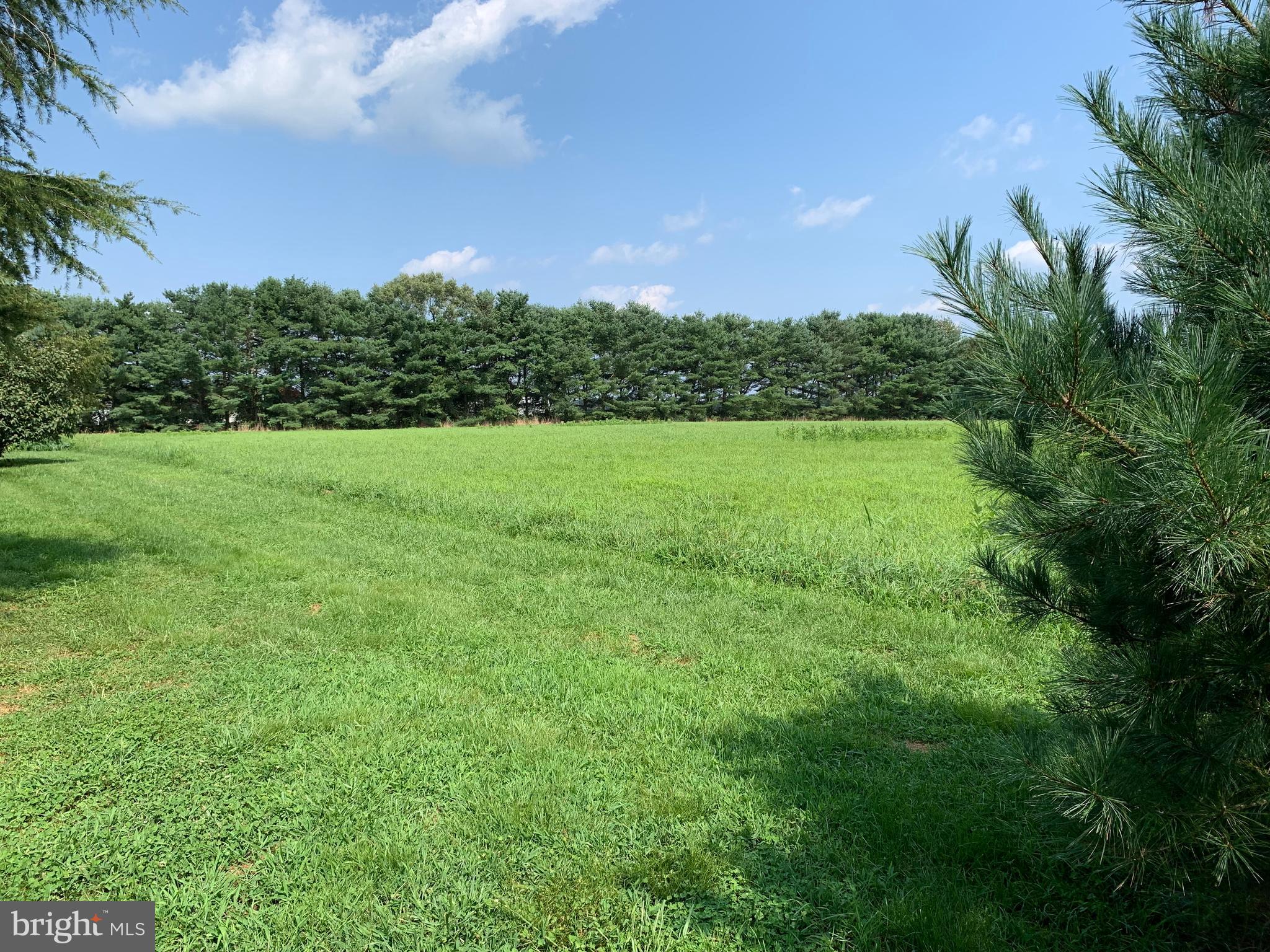 2 Bridge Road Lumberton, NJ 08048 - Photo 10 of 107 Hay Field