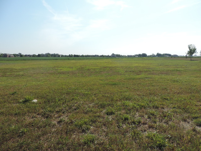 24025 Old Farm Road Manhattan, IL 60442 - Photo 1 of 1 a view of a large body of water with a large window