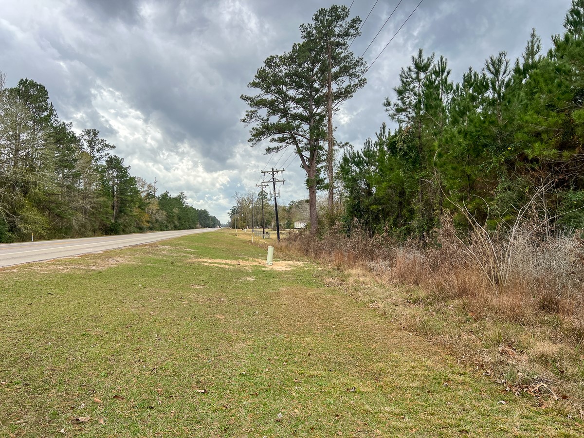 2 Highway 87 Newton, TX 75966 - Photo 9 of 12 a view of a field with trees