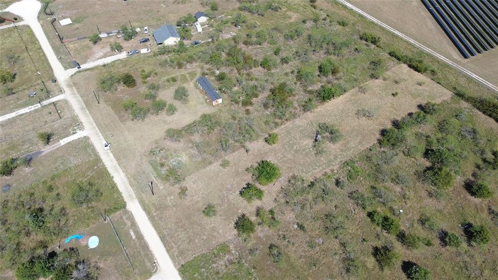 Lot 25 Baron Acres Road Wortham, TX 76693 - Photo 6 of 6 a view of a plant in a garden