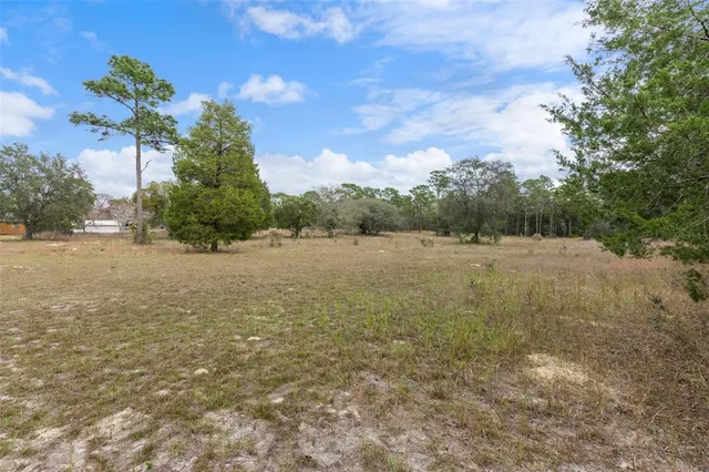a view of a field with trees in background