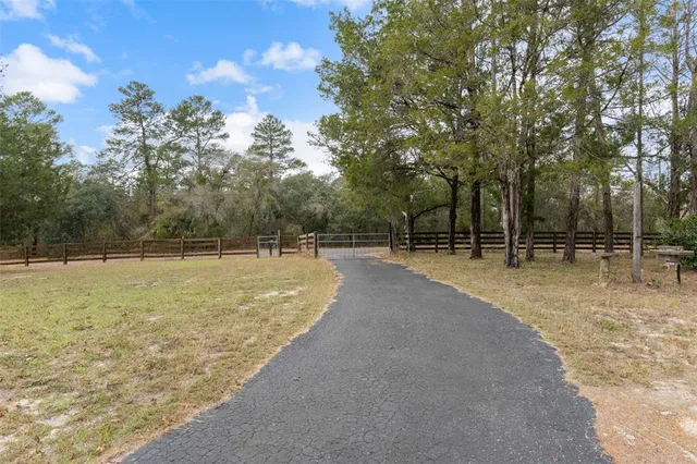 a view of a backyard