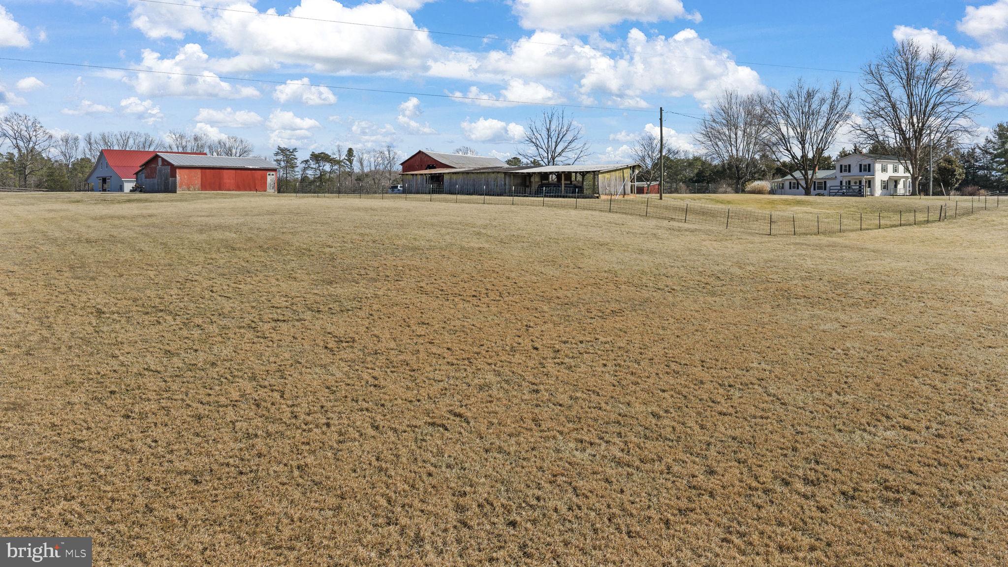 1815 Country Road Beaverdam, VA 23015 - Photo 11 of 98 Pasture view!