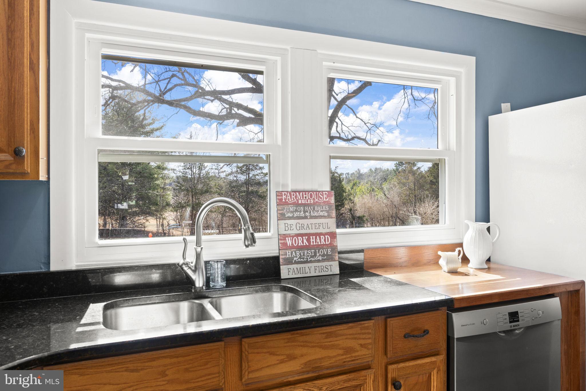 1815 Country Road Beaverdam, VA 23015 - Photo 28 of 98 Double windows over farmhouse sink