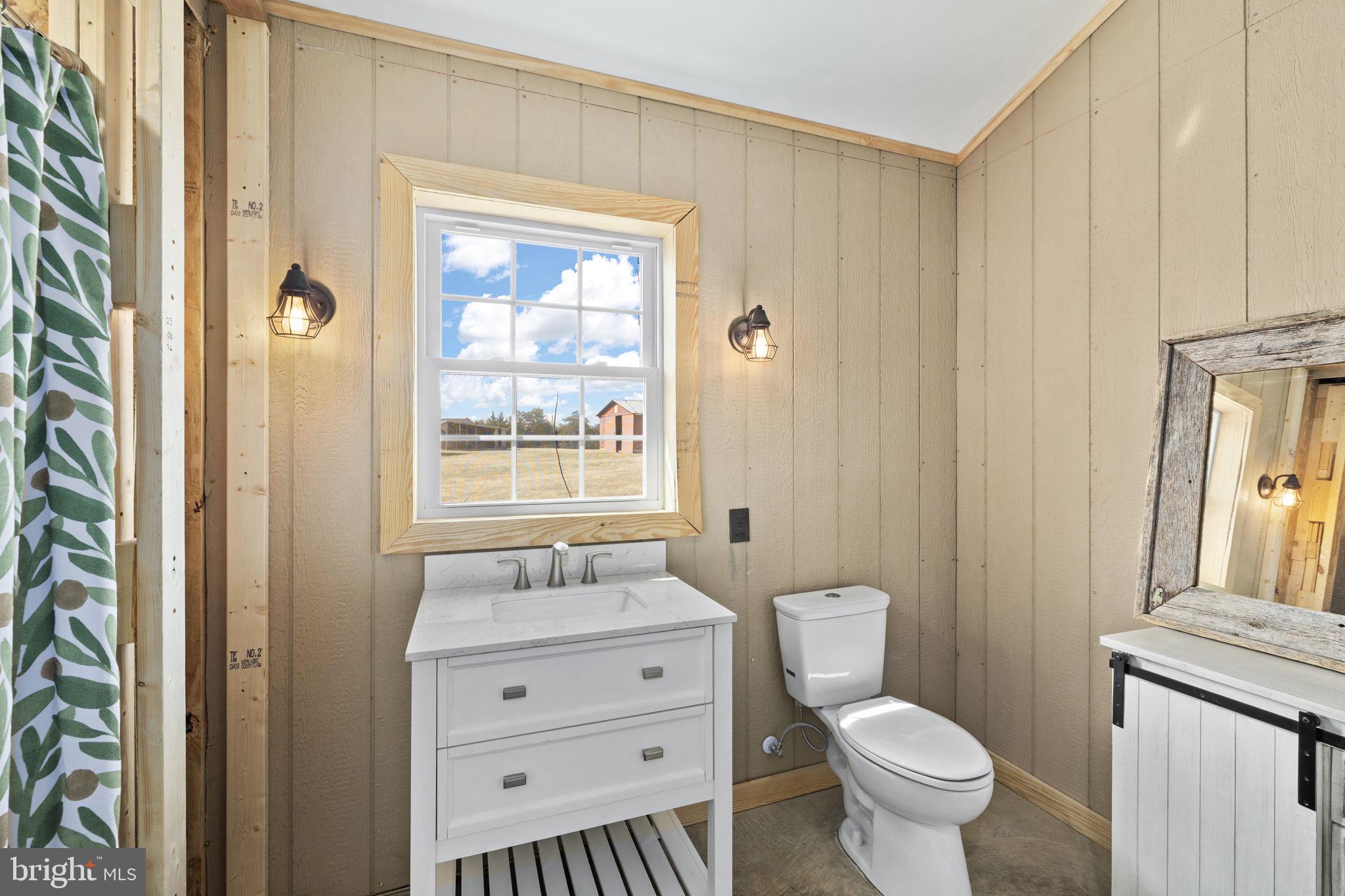 1815 Country Road Beaverdam, VA 23015 - Photo 57 of 98 Bath with window and vanity