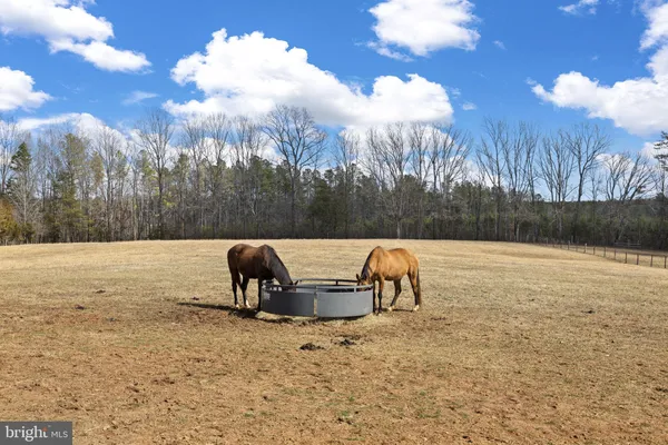 $1,175,000 | 1815 Country Road, Beaverdam, VA 23015