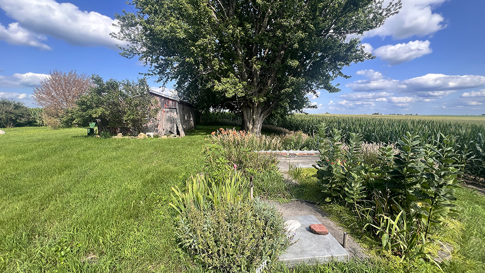 14474 Lyndon Road Morrison, IL 61270 - Photo 12 of 31 a view of a garden with an trees