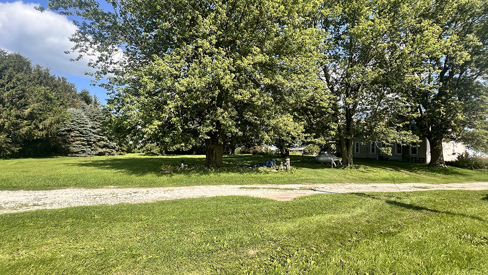 14474 Lyndon Road Morrison, IL 61270 - Photo 6 of 31 a view of a park