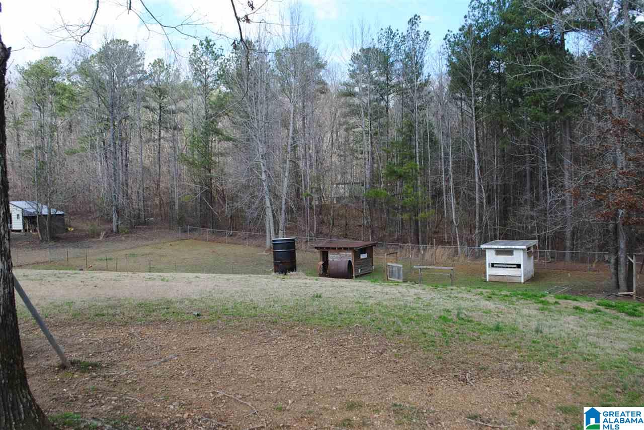 7955 Blackie Curren Road Bessemer, AL 35022 - Photo 6 of 21