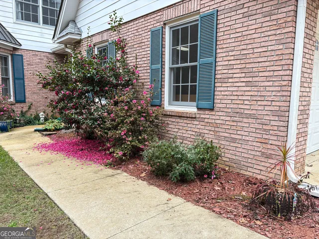 a view of a house with potted plants