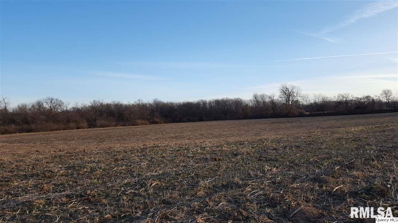 3001 Locust Street Quincy, IL 62301 - Photo 4 of 11 Gallery Image 4