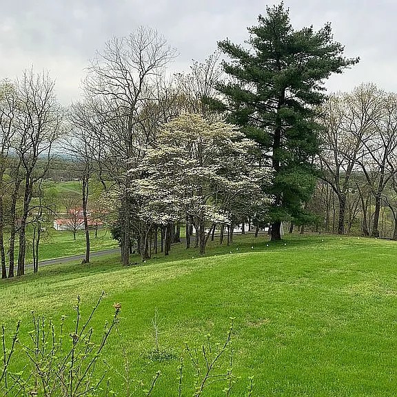 881 Mt Olivet Road Columbia, TN 38401 - Photo 68 of 68 a view of a park with large trees
