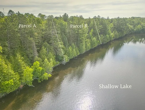 $219,000 | Tbd (parcel A) North Tbd (parcel A) N Shallow Lake Road, Warba, MN 55793