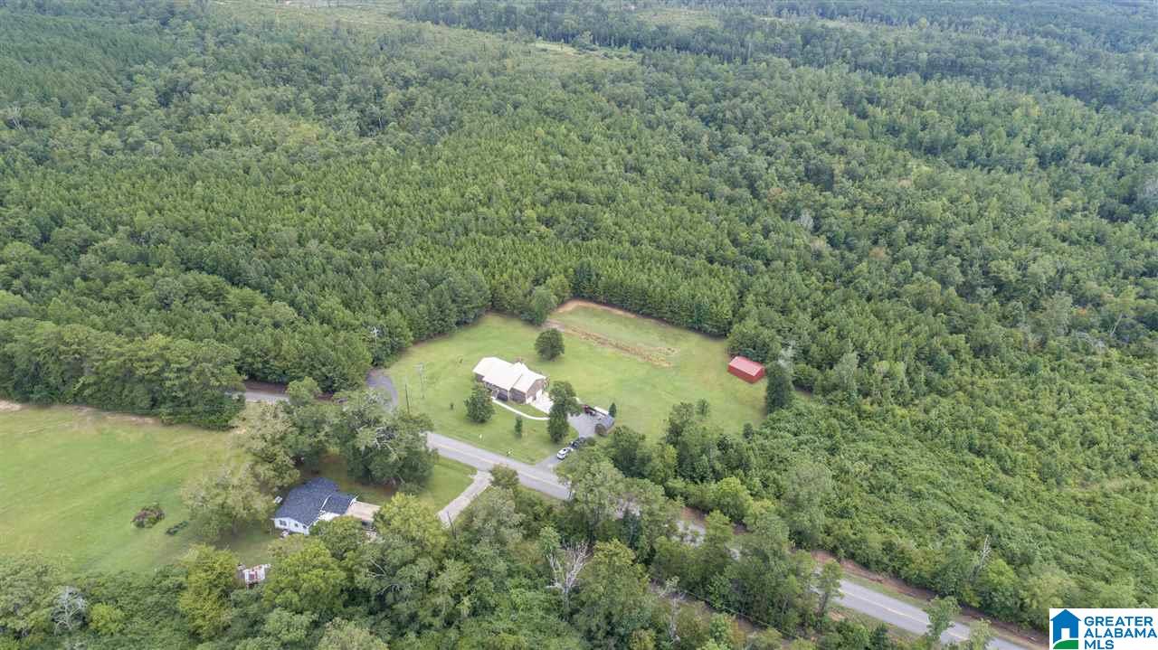 14183 Milldale Road Brookwood, AL 35444 - Photo 42 of 47