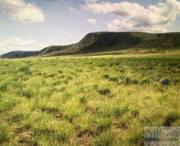 Lot 6 Pryor Road Edgar, MT 59026 - Photo 1 of 1 Gallery Image 1
