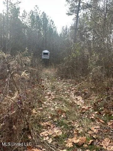 $179,500 | Robinson Road, Canton, MS 39046