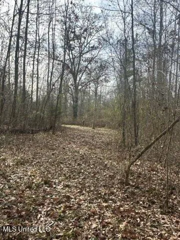 $179,500 | Robinson Road, Canton, MS 39046