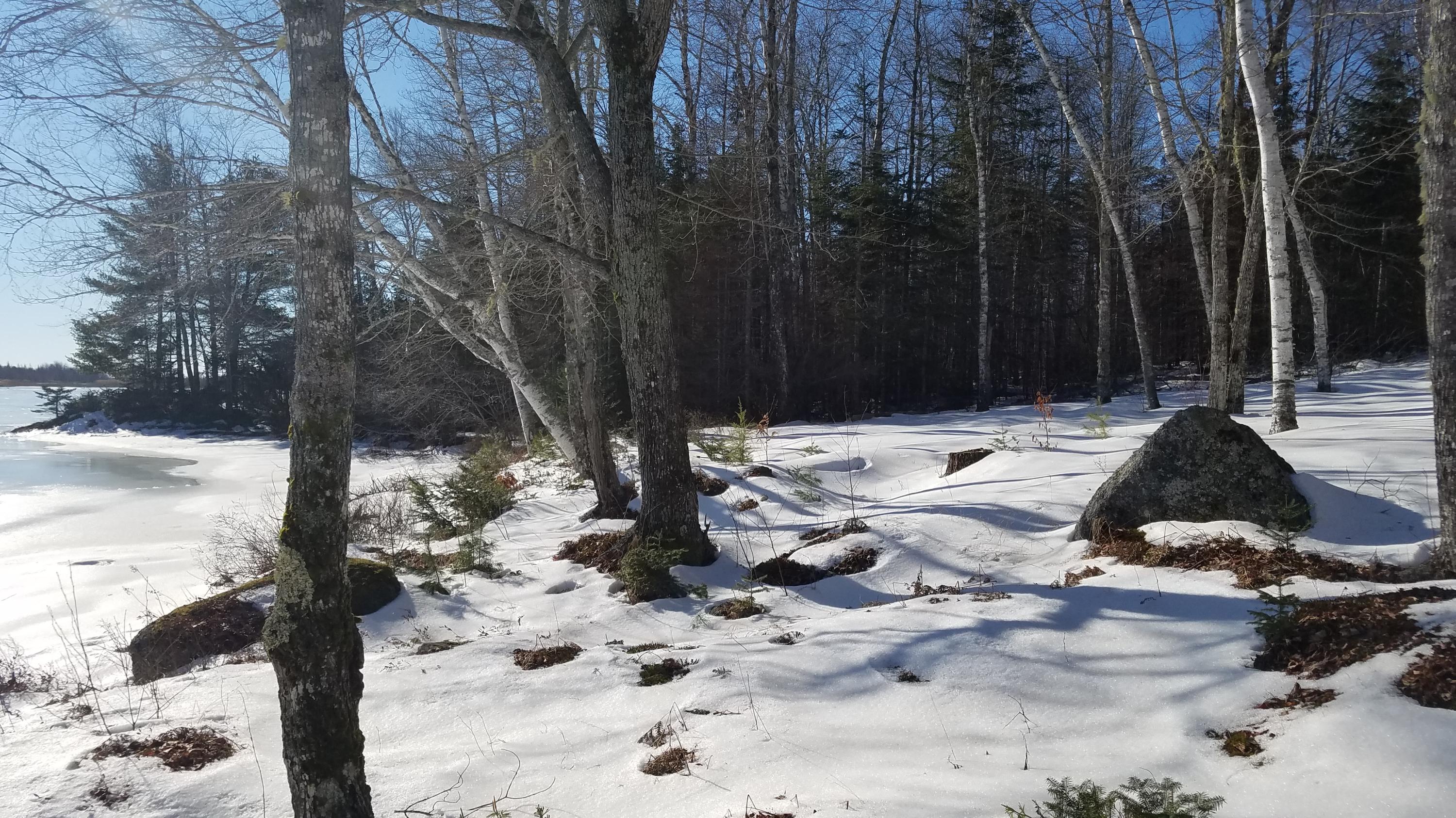 574 Morrison Farm Road Mariaville, ME 04605 - Photo 13 of 32 20190125_110420