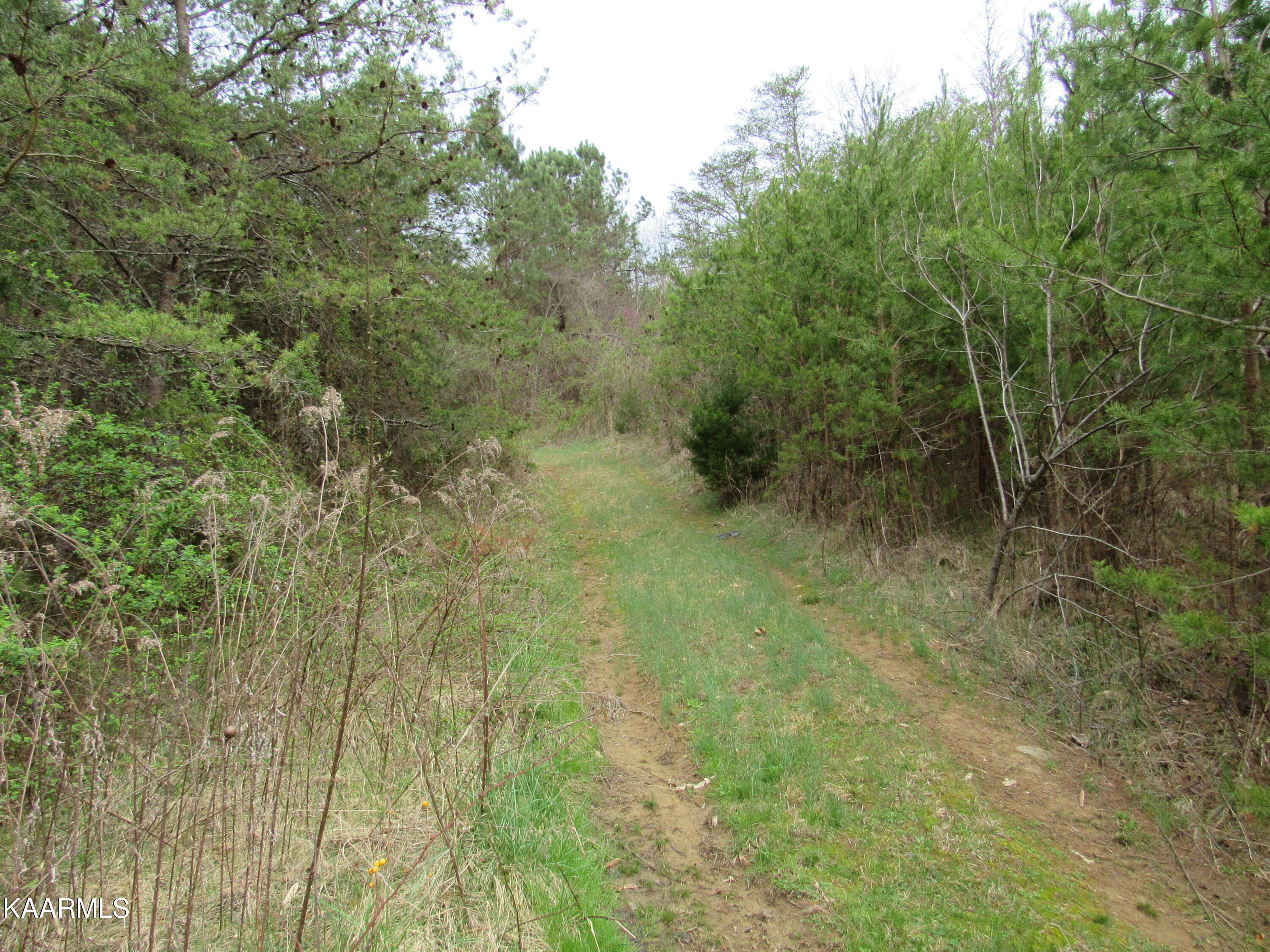 340 Zion Hill Road Seymour, TN 37865 - Photo 11 of 60 IMG_3466