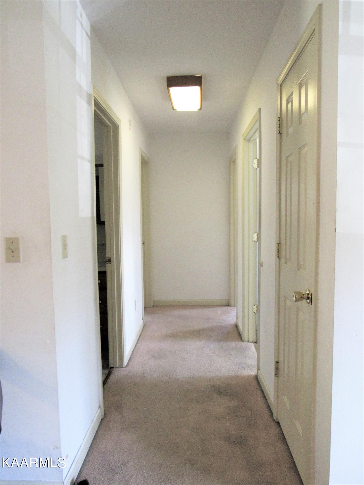 340 Zion Hill Road Seymour, TN 37865 - Photo 28 of 60 IMG_3496