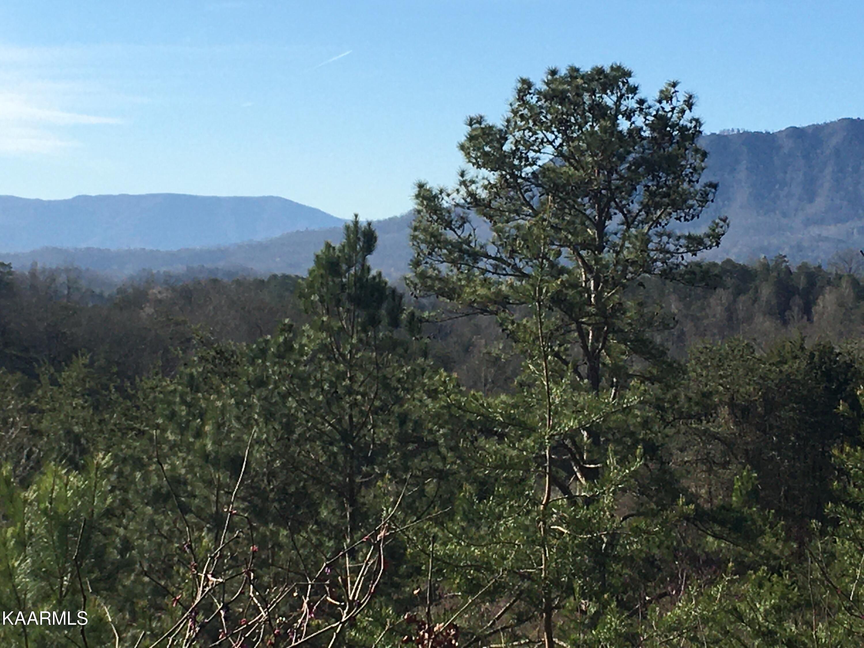 340 Zion Hill Road Seymour, TN 37865 - Photo 3 of 60 ZIONMT1IMG-8466