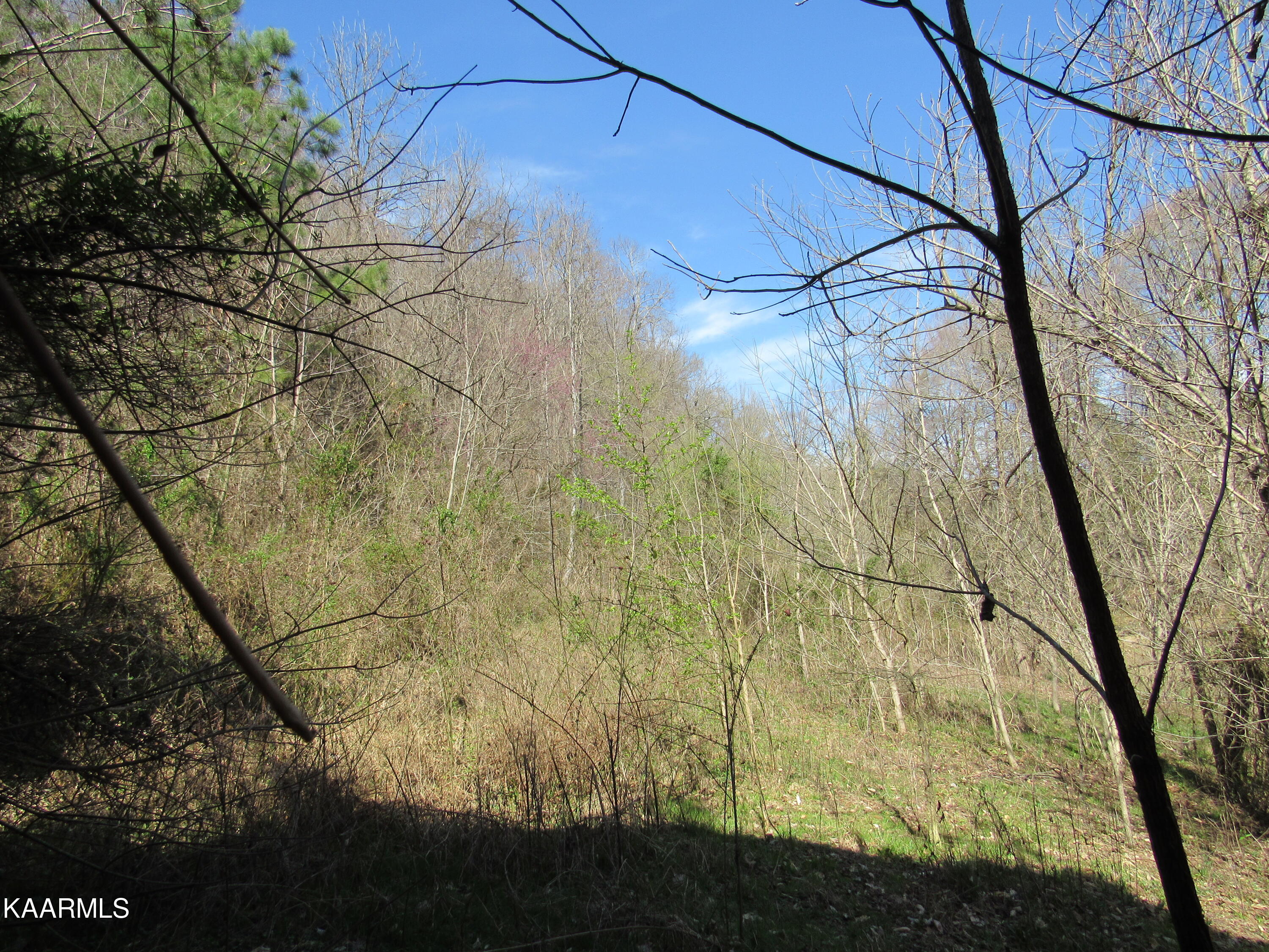 340 Zion Hill Road Seymour, TN 37865 - Photo 45 of 60 IMG_3508