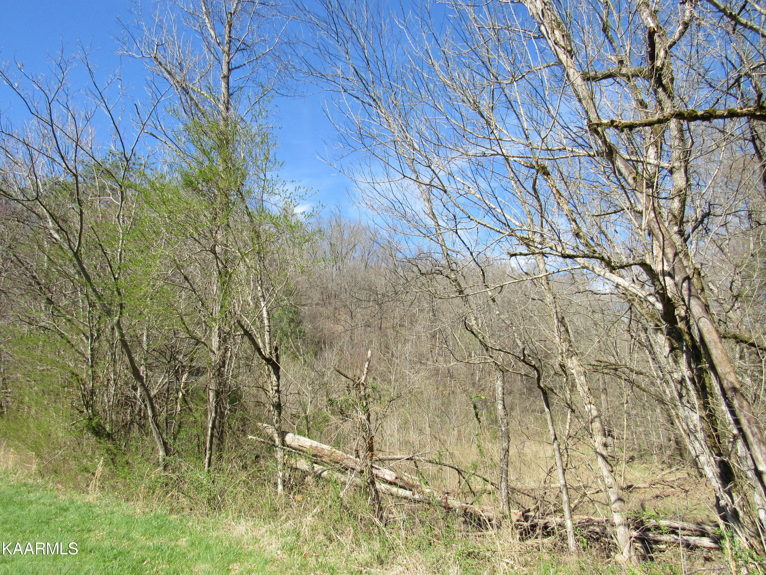 340 Zion Hill Road Seymour, TN 37865 - Photo 46 of 60 IMG_3513