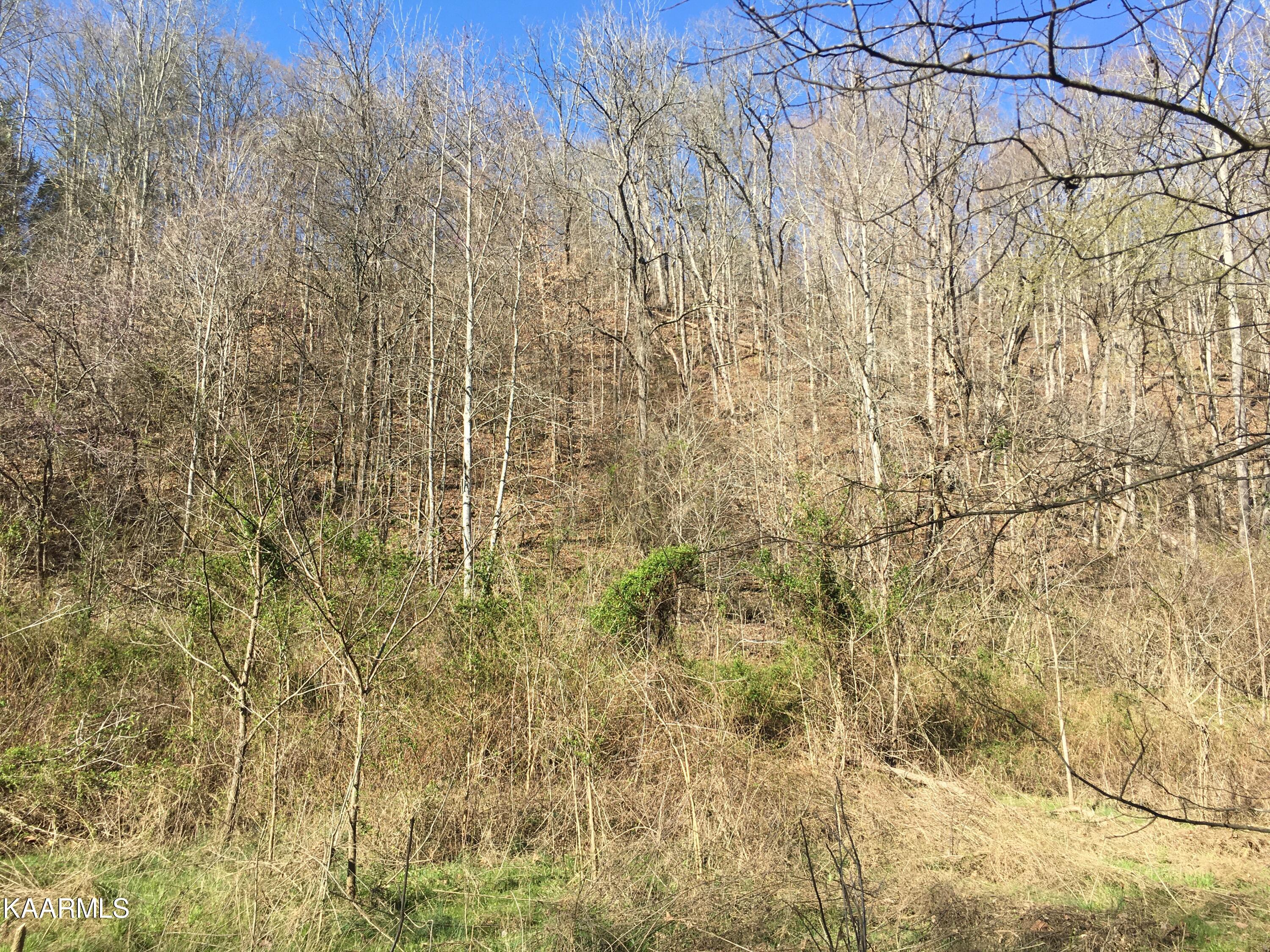 340 Zion Hill Road Seymour, TN 37865 - Photo 47 of 60 ZIONIMG-8481